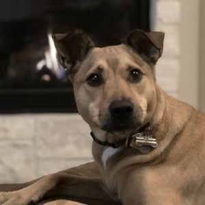 Meet your Posher, Nate